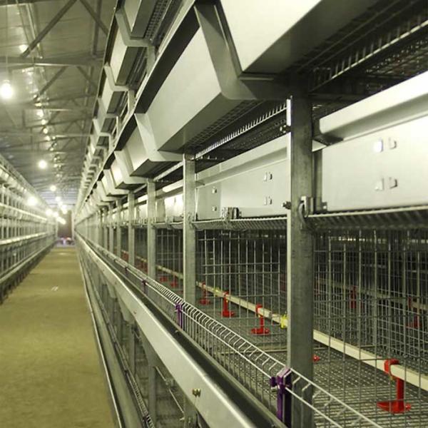 Quality Poultry Farming Chicken Cage Wire , High Temp Resistant High Tech Chicken Cage for sale