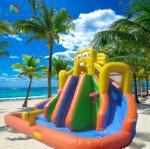 Commercial Water Slide Inflatable Kids Outdoor Double Lane Water Slide Bounce