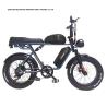 Buy cheap Double Disc Brake 48V 1000W Motor Ebike 20 Inch Electric Fat Tire Bicycle With Kenda Tire from wholesalers
