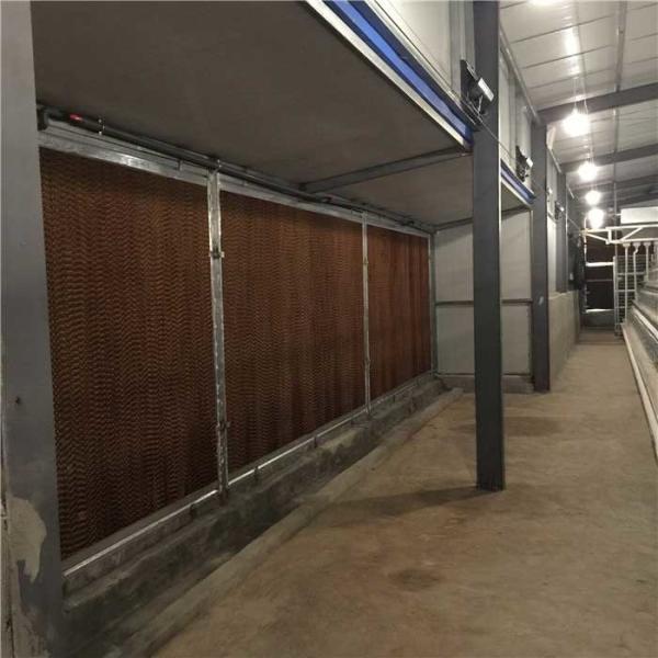 Buy cheap Waterproof Poultry Farm Management System , No Micro Hole Air Cooler Side Pads from wholesalers
