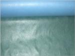 PP Polypropylene Spunbond Laminated Non Woven Fabric For SHopping Bags Non Woven