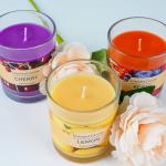 Soy Wax Glass Jar Scented Candle Luxury Aromatherapy Candle In Transparent Glass