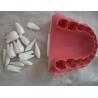 Buy cheap OEM 2 Times Dental Materials Plastic Human Anatomy Model from wholesalers