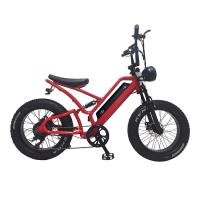 Buy cheap E-bike Fat Tire 48V10Ah Lithium Battery Speed 500W Brushless Spoke Motor For product