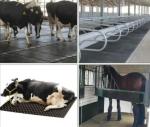 10 Feet Length Cable Protector Sleeve Hassle-Free Installation