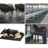 Buy cheap 10 Feet Length Cable Protector Sleeve Hassle-Free Installation from wholesalers