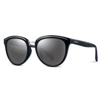 Buy cheap TAC Plastic Colored Sunglasses , Black Brown Plastic Aviator Sunglasses Metal product