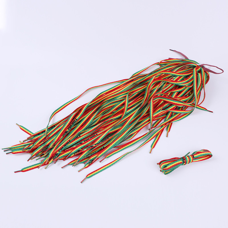 Printed Polyester Shoelace Custom Design Color Flat Cord With Plastic Tips
