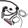 Buy cheap 12V Engine Wiring Harness from wholesalers