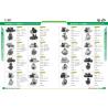 Buy cheap Excavator Starter 2.2KW Kubota Motor 1C01063010,1C01063011,1C01063012,1C01063013,1C01063014,1C01063015,1G48463001,18398N from wholesalers