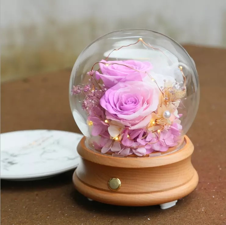 Wholesale Rose Preserved Flower in Glass Dome Flower for Valentines Day rose gift