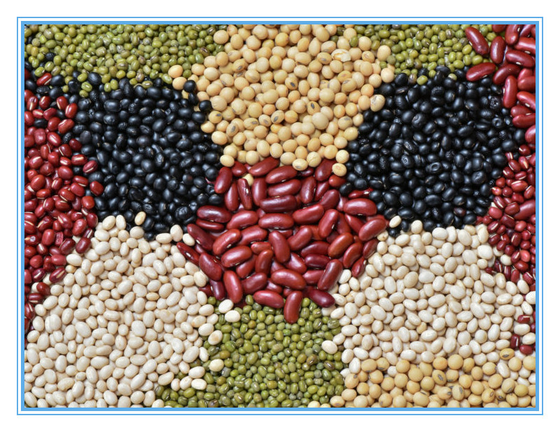 1200mm Width Two Layers Pepper Red Chili Color Sorter Machine Red Chili Colour Sorting Machine