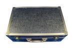 Quantum Bio-Electric Whole Health Analyzer Portuguese Version