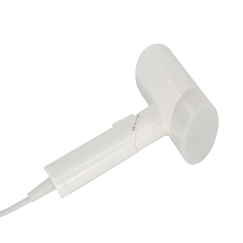 Modern Stainless Steel Panel Foldable Handheld Portable Garment Steamer For Travel
