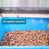 Buy cheap CE Endorsed Pecan Nuts Sorting Machine 7kW 380V Capable 1-2 Tons With 8 Gates from wholesalers