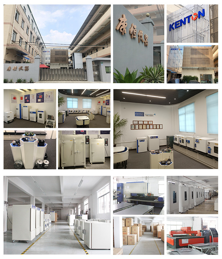 Medical Equipment Sterilization Heating Oven Intelligent Blast Drying 999min