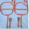 Buy cheap Polyester Ratchet Tie Down 50mm*2.6m En12195-2standard Tuv Gs Approved from wholesalers