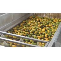 Buy cheap High Effective Small Scale Mango Processing Plant  High Extracting Rate product