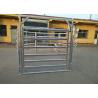 Buy cheap Sturdy Steel Cattle Fence , Horse Corral Panels For Horse / Cow / Sheep from wholesalers
