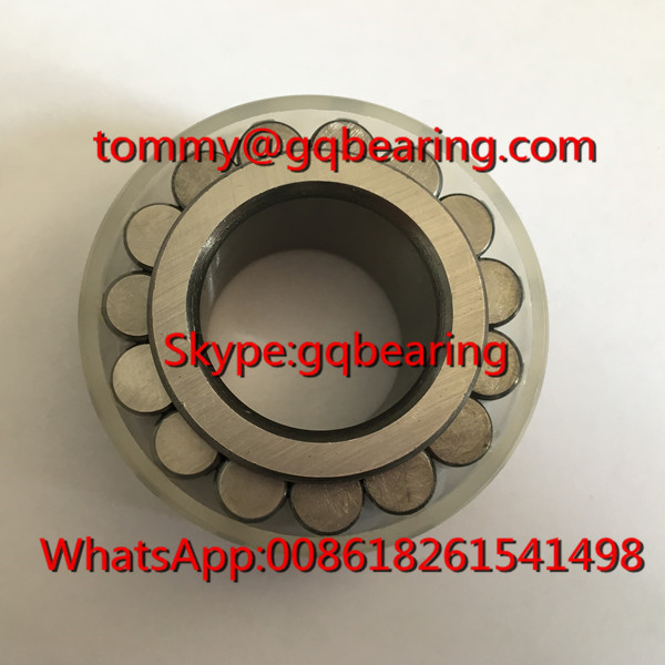 Gcr15 Steel Material F-213617.RNN Double Row Cylindrical Roller Bearing without Cage