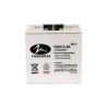 Buy cheap F14 Terminal 300A 12v 20ah Lead Acid Battery For EPB Lighting System from wholesalers