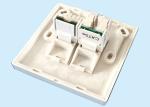 Duplex FTTH Dual Fiber Optic Faceplate RJ11 / RJ45 With Removable Cover