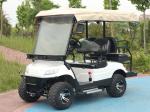 Max Speed 40km/H Golf Cart 4 Passenger All Terrain OEM Sale Price With 12 Inch