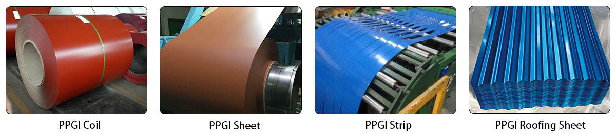 ASTM JIS Pre Painted Galvanized Iron Sheet Coil 0.8mm*1220mm 275g/M2
