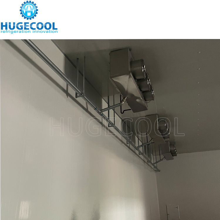 Frozen/Fresh Cold Room Unit Blast Freezer Container Cold Room Storag