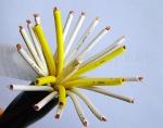 Buy cheap PVC Insulation Flexible Round Control Cable KVV 450/750V in black color from wholesalers