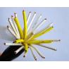 Buy cheap PVC Insulation Flexible Round Control Cable KVV 450/750V in grey color from wholesalers