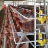 Buy cheap 4 Tiers Hens Battery Cage Price In Nigeria , 5 Doors Chicken Layer Cage Rose from wholesalers