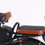 48V 350W Electric City Bike 10Ah / 22Ah Lithium Battery Single Speed Electric