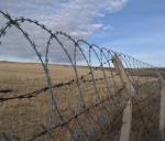 Galvanized Security Fencing Concertina Price Anti Climb Blade Barbed Wire Prison