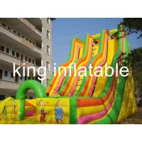 Buy cheap Giant Double Lane Inflatable Dry Slide Colorful Cartoon Printing For Amusement product