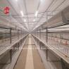 Buy cheap A Type Broiler Chicken Cage And Farm Poultry House Building Design Mia from wholesalers