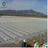 Buy cheap Fruits 0.4KN/M2 4m Height Commercial Glass Greenhouse from wholesalers