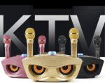 30W Family Karaoke Multifunctional Wireless Speak With Mic Recorder