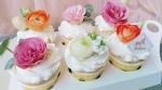 Pantone Printed Cupcake Paper Cups Non Stick Muffin Liners