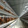 Buy cheap 3-10 Layer Poultry Cage For Chicken U Type Hot Galvanized Steel Stand from wholesalers