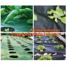 Buy cheap 100% new LDPE green house plastic clear covering film,anti drip tomato Hydroponics agricultural plastic film from wholesalers