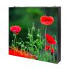 Buy cheap IP65 Exhibition LED Screen P4 Outdoor Energy Saving Digital Advertising Screens 80x40 from wholesalers