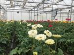 Integrated Water Fertilizer Applicator