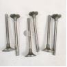 Buy cheap NT855 machinery parts diesel engine valve intake valve 135957 3000926 4955698 3803512 from wholesalers