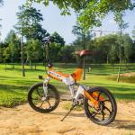 Womens Full Suspension Ebike Folding Full Sus Electric Bike 48v 9.6Ah RICH BIT
