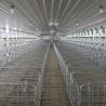 Buy cheap Galvanized Steel Sow Hog Gestation Crates 2.5mm Thickness from wholesalers