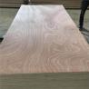 Buy cheap Poplar Hardwood Core Glue E0 18mm Sapele Faced Plywood from wholesalers