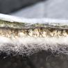 Buy cheap 8*30m Coated Gcl Sodium Geosynthetic Clay Liner Bentonite Waterproof Blanket at Direct from wholesalers