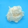Buy cheap 100% Virgin Viscose Staple Cellulose Fiber Flame retardant for protective clothes from wholesalers