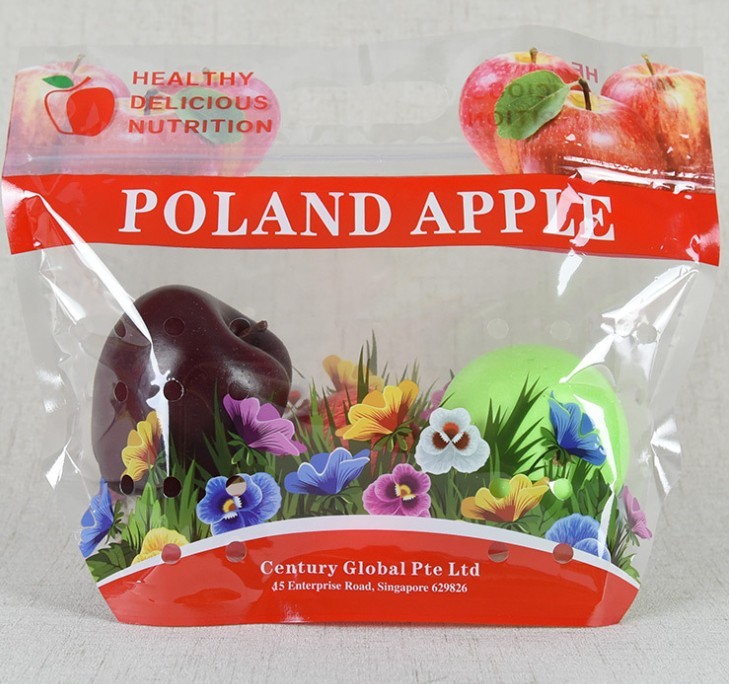 Standing Up Customized Colorful Zip-lock PET Laminated Packaging Bags for fruit and Vegetables Packing